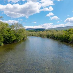 Photo #18 of GOOD MILL RD, RILEYVILLE, VA 6.0 acres