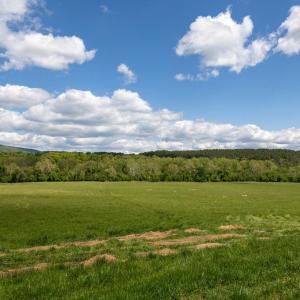 Photo #27 of GOOD MILL RD, RILEYVILLE, VA 6.0 acres