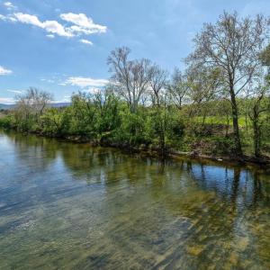 Photo #21 of GOOD MILL RD, RILEYVILLE, VA 6.0 acres