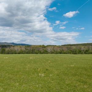 Photo #37 of GOOD MILL RD, RILEYVILLE, VA 6.0 acres