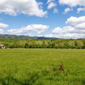Photo #40 of GOOD MILL RD, RILEYVILLE, VA 6.0 acres