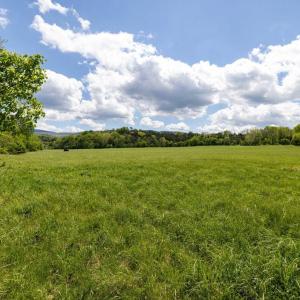 Photo #42 of GOOD MILL RD, RILEYVILLE, VA 6.0 acres