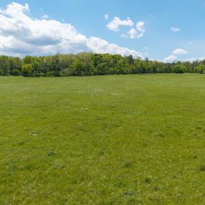 Photo #47 of GOOD MILL RD, RILEYVILLE, VA 6.0 acres
