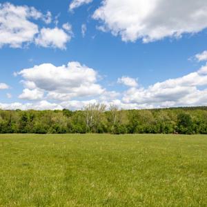 Photo #45 of GOOD MILL RD, RILEYVILLE, VA 6.0 acres