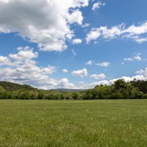 Photo #46 of GOOD MILL RD, RILEYVILLE, VA 6.0 acres