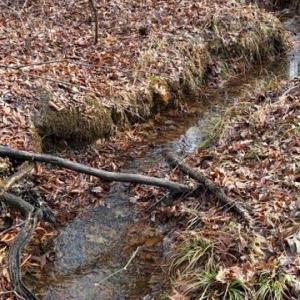 Photo #5 of MOUNTAIN TRACK RD, ORANGE, VA 32.0 acres