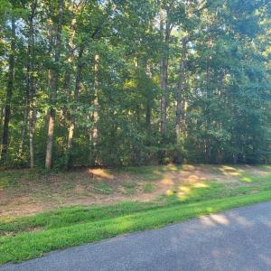 Photo #1 of 20 HARNESS LN, LOUISA, VA 3.0 acres