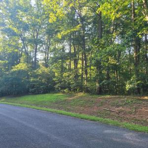 Photo #3 of 20 HARNESS LN, LOUISA, VA 3.0 acres