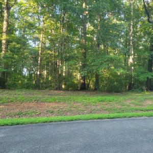 Photo #2 of 20 HARNESS LN, LOUISA, VA 3.0 acres