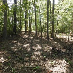Photo #7 of 465 EQUESTRIAN LANDING TRL, BUMPASS, VA 5.1 acres