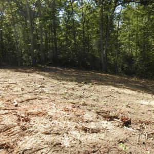 Photo #11 of 465 EQUESTRIAN LANDING TRL, BUMPASS, VA 5.1 acres