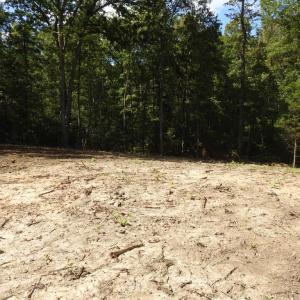 Photo #10 of 465 EQUESTRIAN LANDING TRL, BUMPASS, VA 5.1 acres