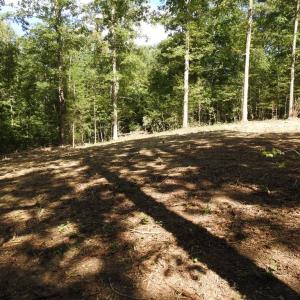 Photo #16 of 465 EQUESTRIAN LANDING TRL, BUMPASS, VA 5.1 acres