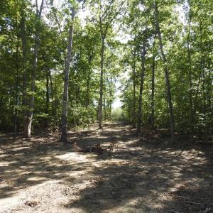 Photo #18 of 465 EQUESTRIAN LANDING TRL, BUMPASS, VA 5.1 acres