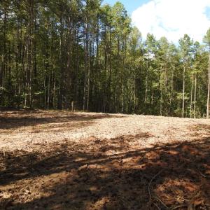 Photo #8 of 541 EQUESTRIAN LANDING TRL, BUMPASS, VA 5.1 acres