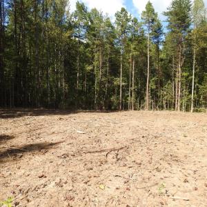 Photo #9 of 541 EQUESTRIAN LANDING TRL, BUMPASS, VA 5.1 acres