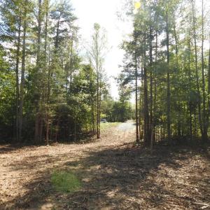 Photo #12 of 541 EQUESTRIAN LANDING TRL, BUMPASS, VA 5.1 acres