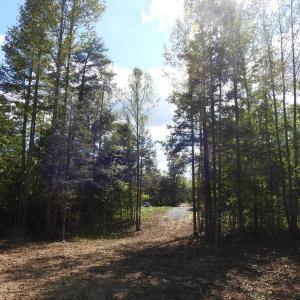 Photo #13 of 541 EQUESTRIAN LANDING TRL, BUMPASS, VA 5.1 acres