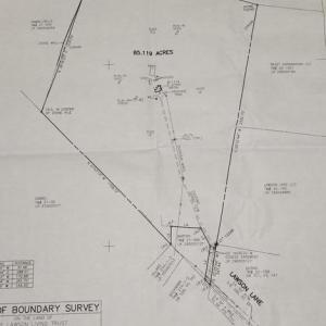 Photo #2 of 11114 LAWSON LN, CULPEPER, VA 85.1 acres