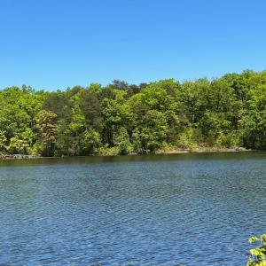 Photo #2 of ELK RUN, BEALETON, VA 36.7 acres