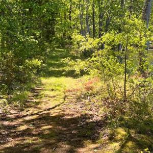 Photo #3 of ELK RUN, BEALETON, VA 36.7 acres