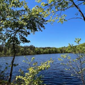 Photo #1 of ELK RUN, BEALETON, VA 36.7 acres