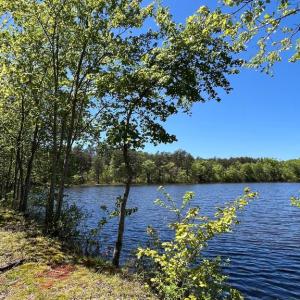 Photo #4 of ELK RUN, BEALETON, VA 36.7 acres