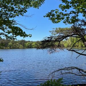 Photo #6 of ELK RUN, BEALETON, VA 36.7 acres