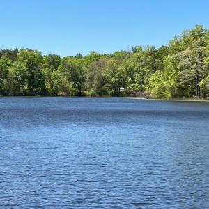 Photo #7 of ELK RUN, BEALETON, VA 36.7 acres