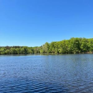 Photo #8 of ELK RUN, BEALETON, VA 36.7 acres