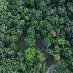 Photo #9 of SUZANNE LANE, LURAY, VA 0.9 acres