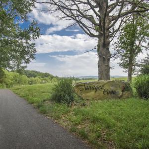 Tannager_19