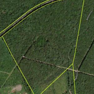 Photo #1 of SHELTON LN, MINERAL, VA 44.4 acres