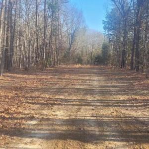 Photo #7 of SHELTON LN, MINERAL, VA 44.4 acres