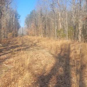 Photo #8 of SHELTON LN, MINERAL, VA 44.4 acres