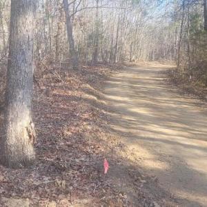 Photo #9 of SHELTON LN, MINERAL, VA 44.4 acres
