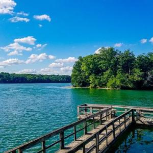 Photo #4 of TRAVELLER, LOT 171 ST, MINERAL, VA 3.6 acres