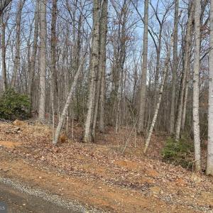 Photo #2 of CHOPPING RD, MINERAL, VA 5.0 acres