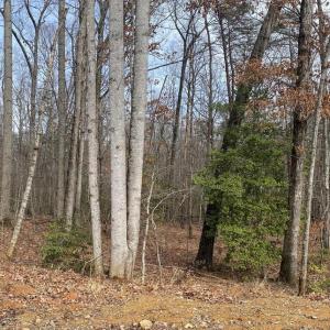 Photo #1 of CHOPPING RD, MINERAL, VA 5.0 acres