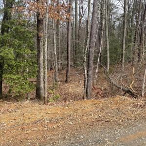 Photo #3 of CHOPPING RD, MINERAL, VA 5.0 acres