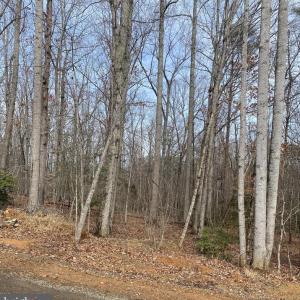 Photo #4 of CHOPPING RD, MINERAL, VA 5.0 acres