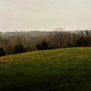 Photo #13 of 5 SPERRYVILLE PIKE, BOSTON, VA 5.0 acres