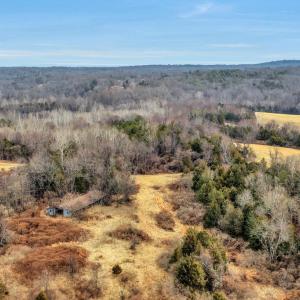 Photo #4 of 5 SPERRYVILLE PIKE, BOSTON, VA 5.0 acres