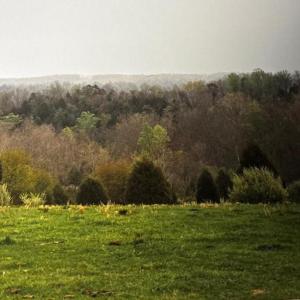 Photo #14 of 5 SPERRYVILLE PIKE, BOSTON, VA 5.0 acres