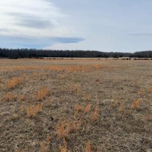 Photo #1 of KELLYS FORD RD, ELKWOOD, VA 15.4 acres