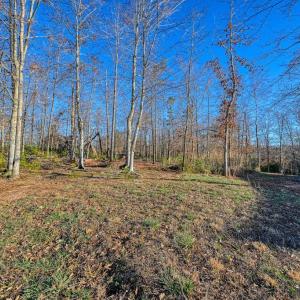 Photo #42 of SUNSET LOOP, MINERAL, VA 0.3 acres