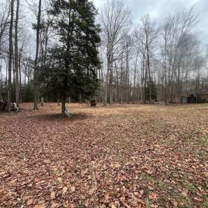 Photo #8 of 13220 BLACKWOOD FOREST DR, GOLDVEIN, VA 10.9 acres