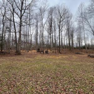 Photo #3 of 13220 BLACKWOOD FOREST DR, GOLDVEIN, VA 10.9 acres