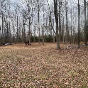 Photo #9 of 13220 BLACKWOOD FOREST DR, GOLDVEIN, VA 10.9 acres