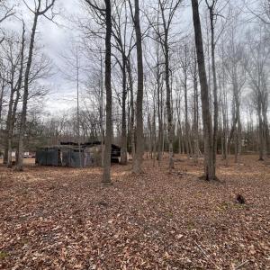 Photo #10 of 13220 BLACKWOOD FOREST DR, GOLDVEIN, VA 10.9 acres